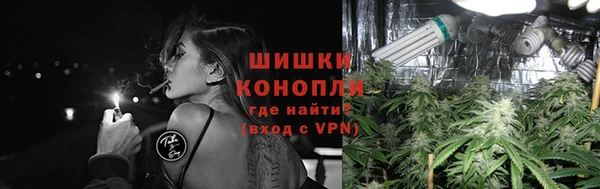 шишки Балахна