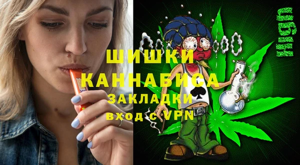 ПСИЛОЦИБИНОВЫЕ ГРИБЫ Баксан