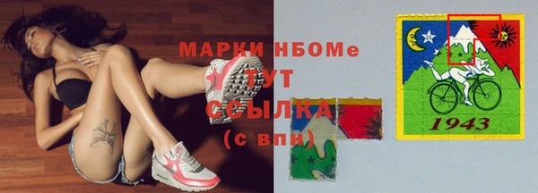 ПСИЛОЦИБИНОВЫЕ ГРИБЫ Баксан