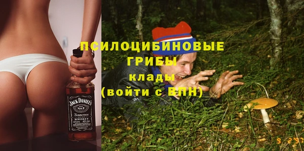 шишки Балахна