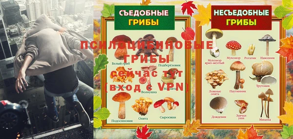 шишки Балахна