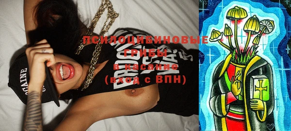 шишки Балахна