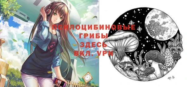 шишки Балахна