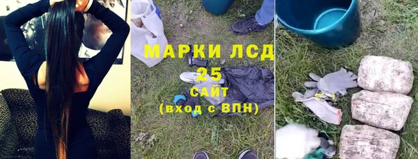 шишки Балахна