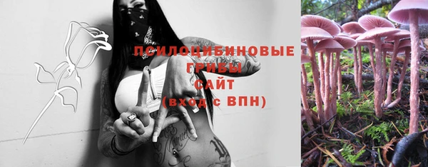 ПСИЛОЦИБИНОВЫЕ ГРИБЫ Баксан