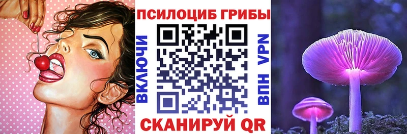 Псилоцибиновые грибы MAGIC MUSHROOMS  что такое наркотик  Гаврилов-Ям 